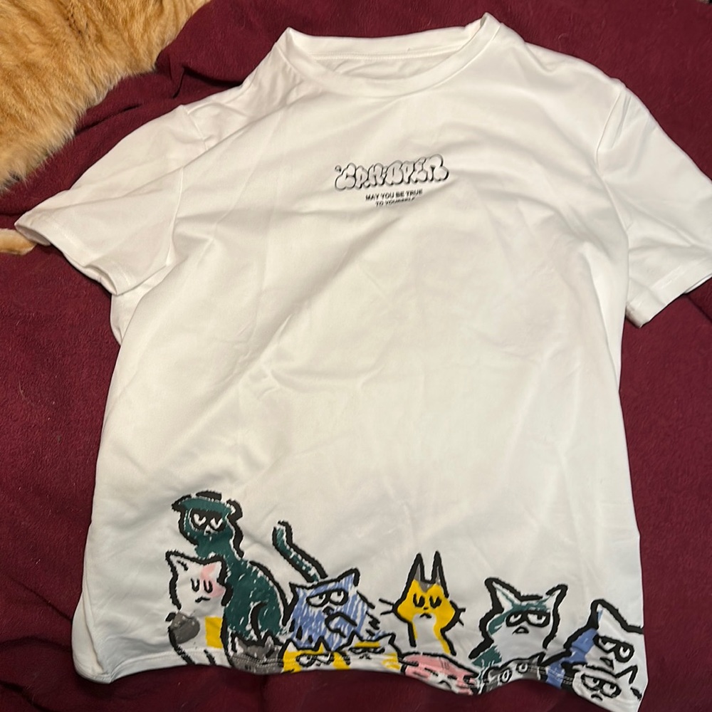 Graphic design kitty cat short sleeve tshirt tee skater art silly